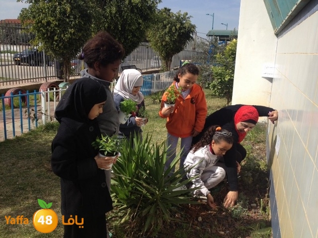 milionarevisist15 (16).jpg